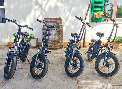 E-Bike bicycle rental on Sicily at Lo Stagnone Marsala