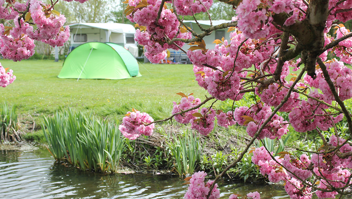 Camping Welgelegen Workum IJsselmeer campsite KBC Hindeloopen