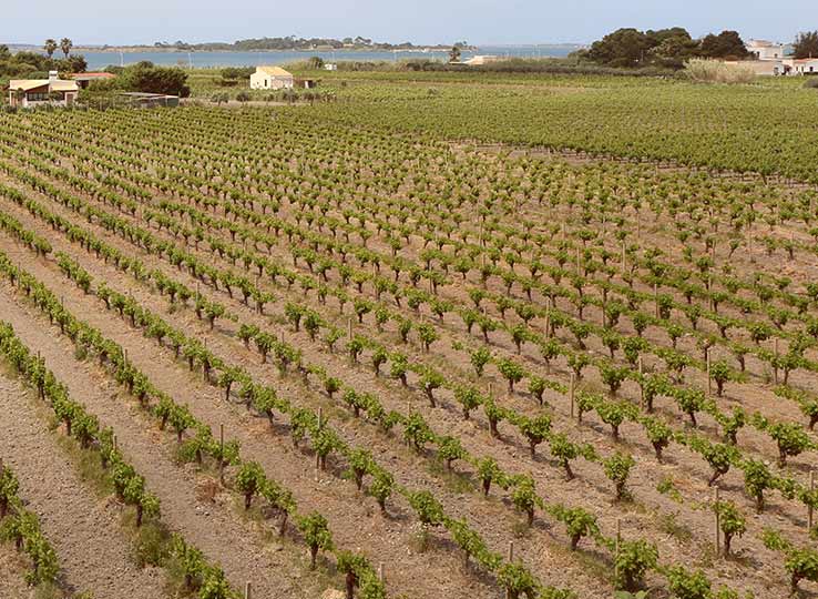 Vajarassa: Storia della Sicilia