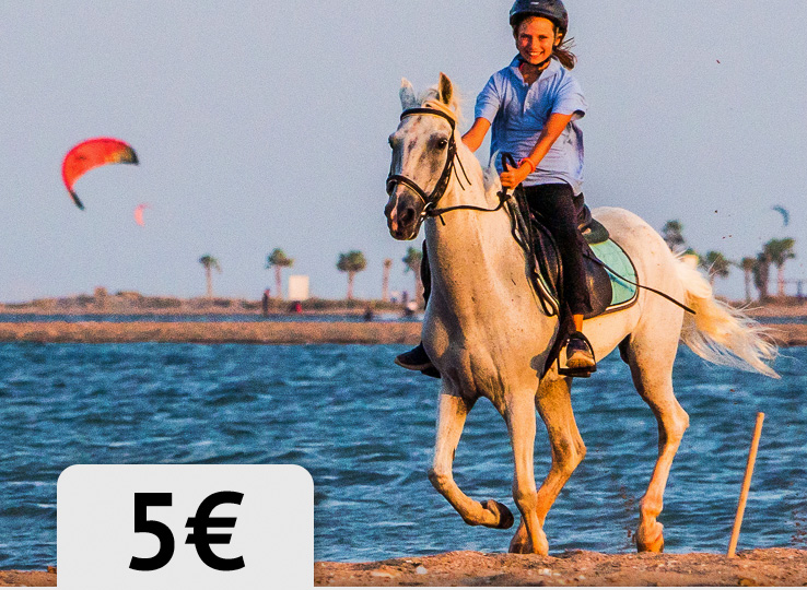 Habibahorse horseback riding at kitesurfing beach, kiteboarding water sports travel destination with Kooperationen
