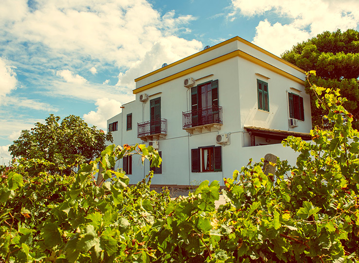 Villa mediterranea con persiane rosse circondata da vigneto - sistemazione ideale per destinazione kitesurf